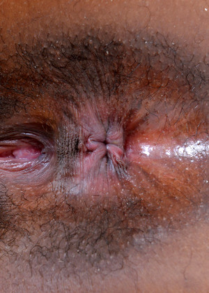 free sex pornphotos Atkexotics Kimmy Katt Barreu Tiny Tits Eroprofil