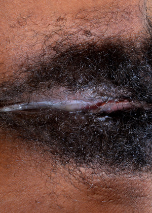 free sex pornphoto 12 Kimmy Katt bitches-hairy-hot-blonde atkexotics