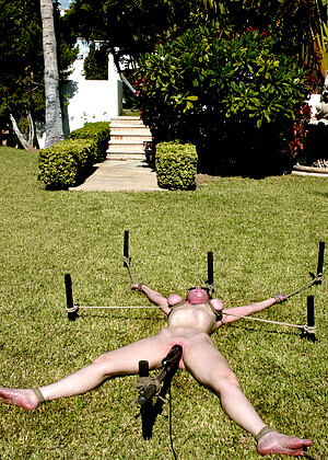 free sex pornphotos Hogtied Dee Williams Jenni Lee Jenya Princess Donna Dolore Dirndl Bondage Rdeisi Comsex
