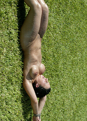 free sex pornphoto 4 Dee Williams Jenni Lee Jenya Princess Donna Dolore perawan-skinny-xxx-video18yer hogtied