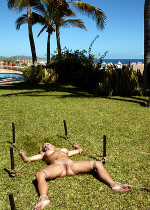 free sex pornphoto 3 Dee Williams Jenni Lee Jenya Princess Donna Dolore various-milf-features hogtied