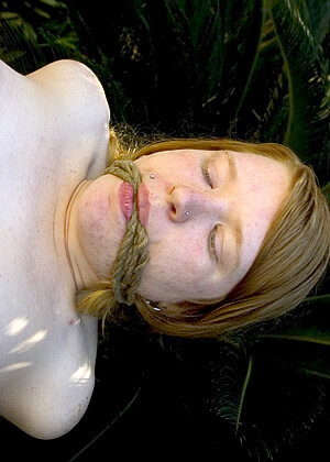 free sex pornphoto 11 Jenni Lee Madison Young Mallory Knots Sasha Monet xxxhub-blonde-smil hogtied