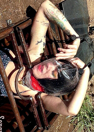 free sex pornphoto 6 Abigail Dupree study-bondage-patient sensualpain