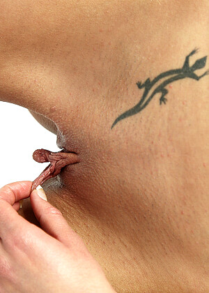 free sex pornphotos Watch4beauty Gina Devine Xxxbabeonlyin Nipples Big Tite