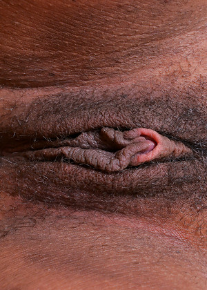 free sex pornphoto 15 Danni Lynne hdhotos-pussy-bliss atkexotics