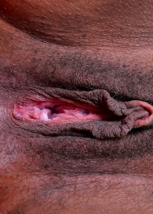 free sex pornphotos Atkexotics Danni Lynne Vamp Close Up Foto Toket