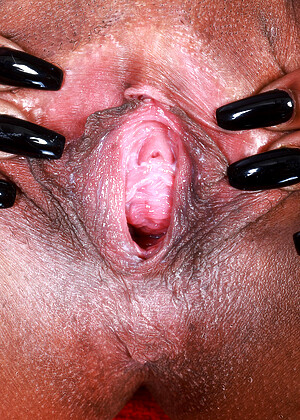 free sex pornphotos Atkexotics Kourtney Ally Wwwsexhd9030 Skinny Crazy