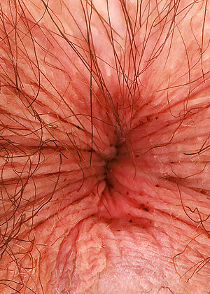 free sex pornphoto 4 Wookie Princess jizztube-mature-pink-nackt atkhairy