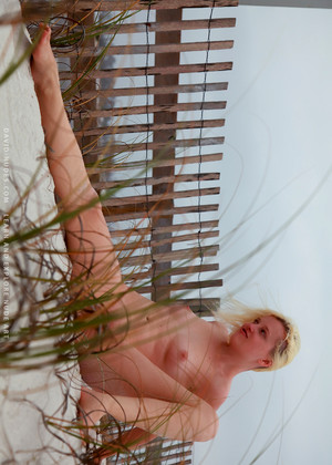 free sex pornphoto 7 David Nudes Model albums-beautiful-virgin-like david-nudes