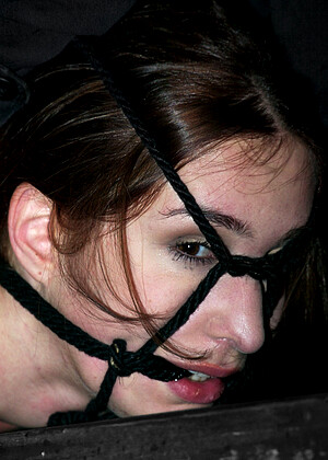 free sex photo 7 Calico scarlett-bondage-massage-download devicebondage