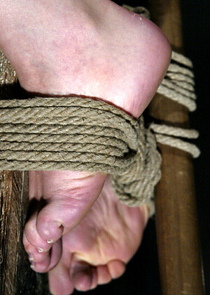 free sex pornphoto 5 Dana Dearmond videio-bondage-gatas hogtied