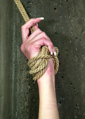 free sex photo 14 Hailey Young edge-bondage-galeri-18 hogtied