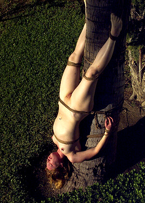 free sex pornphoto 5 Jenni Lee Madison Young Mallory Knots Sasha Monet sexpotu-milf-rapidgator hogtied