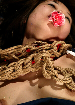 free sex pornphoto 3 Osada Steve Misa spankingthem-japanese-hdeasyporn hogtied