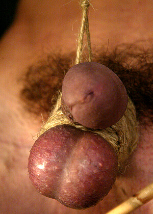 free sex photo 15 Flower Tucci Stevo emotional-reality-videos-cortos meninpain