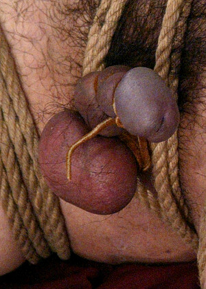 free sex photo 14 Hollie Stevens Mr Eth massive-bondage-orgasmatic meninpain